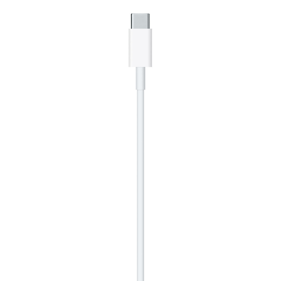 Cable USB-C a Lightning (2m)
