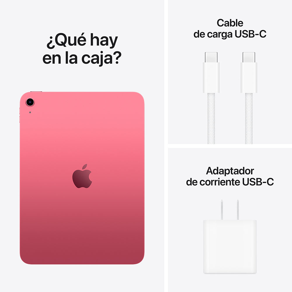 iPad Wi-Fi 256GB - Pink